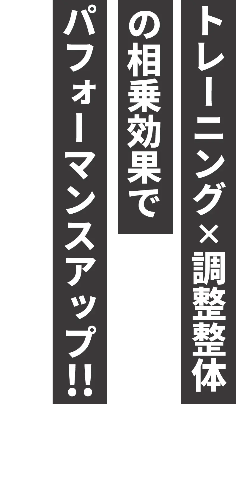 ４つの組み合わせで痩せたい部分へ確実にアプローチ